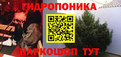 сатива Краснокаменск