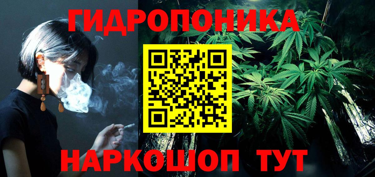 Бошки Шишки OG Kush  Конопля сатива  Вход с VPN  Марихуана гибрид  Всеволожск 